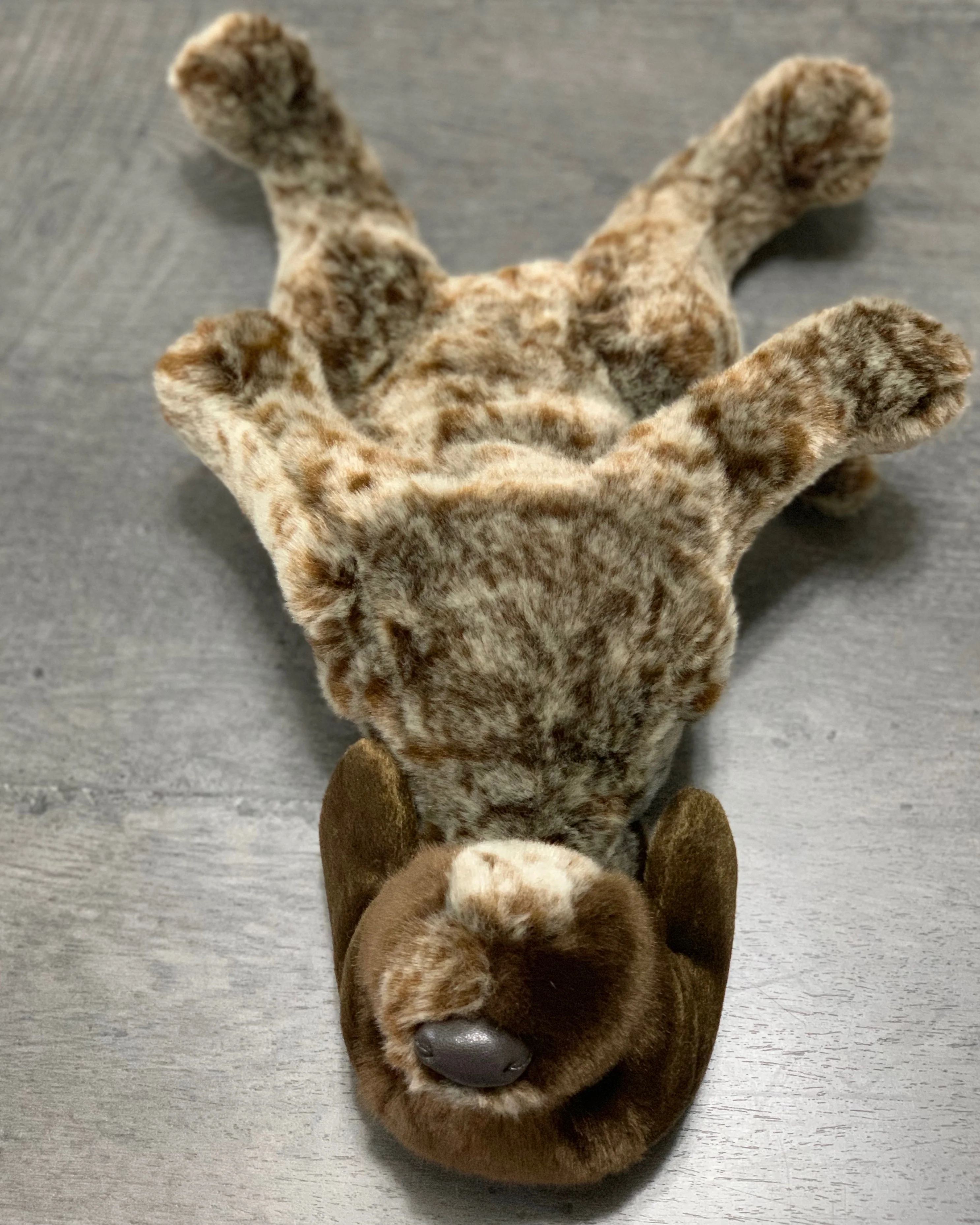 Weighted German Pointer Pup – 15" (Up to 3 lbs) - Image 6
