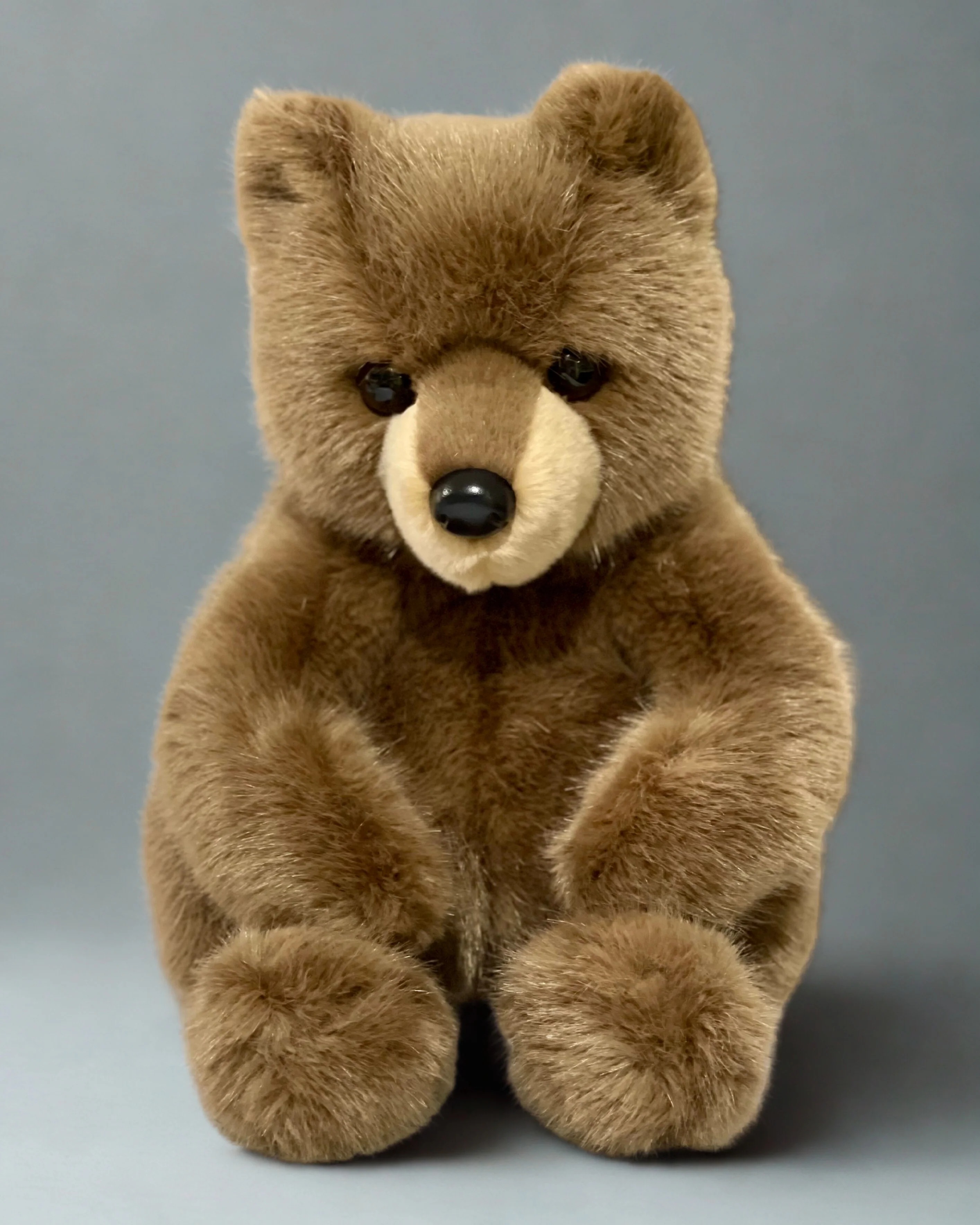 Bears (2 - 13 lbs)