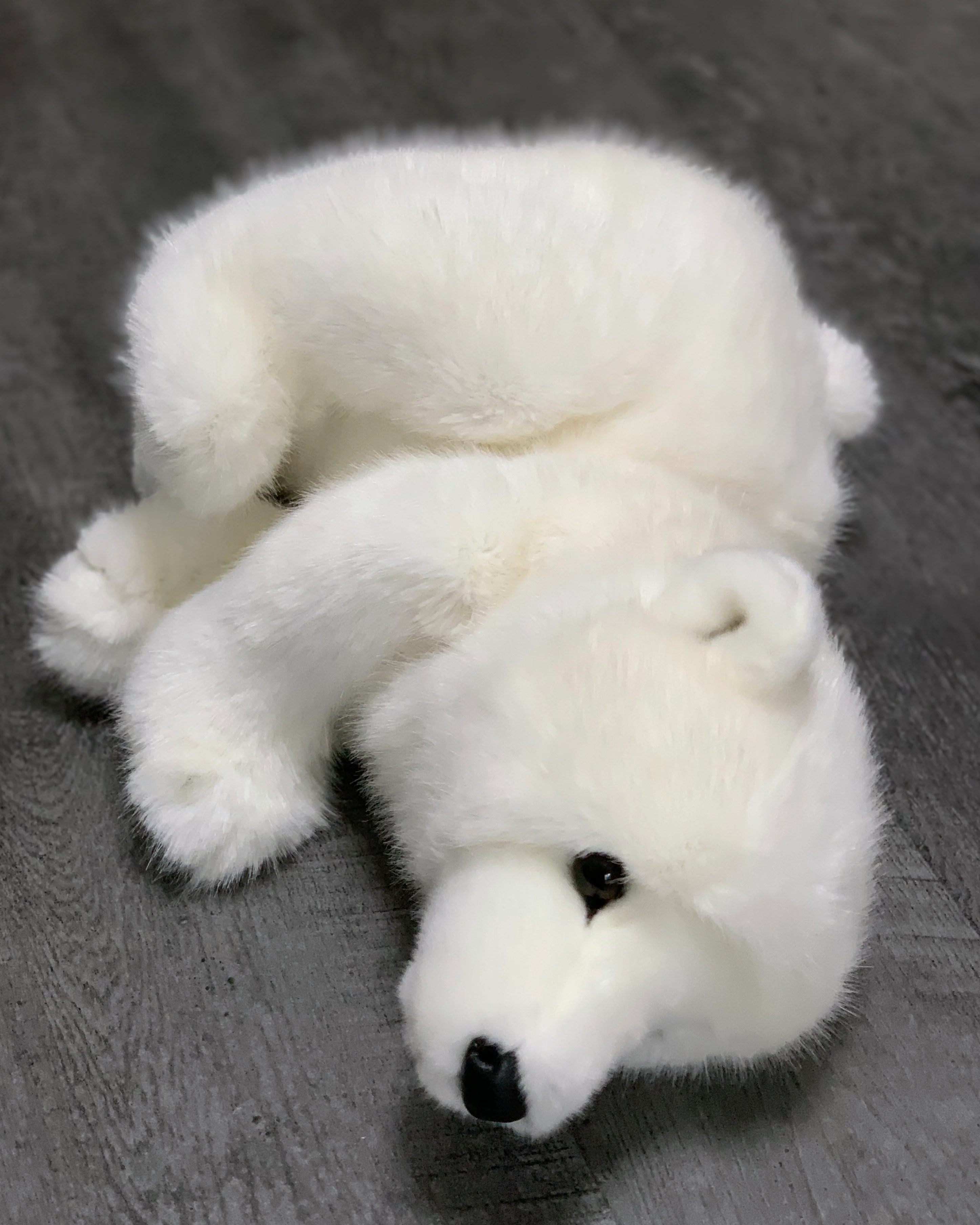 19-inch Weighted Polar Bear, up to 10lbs - Image 16