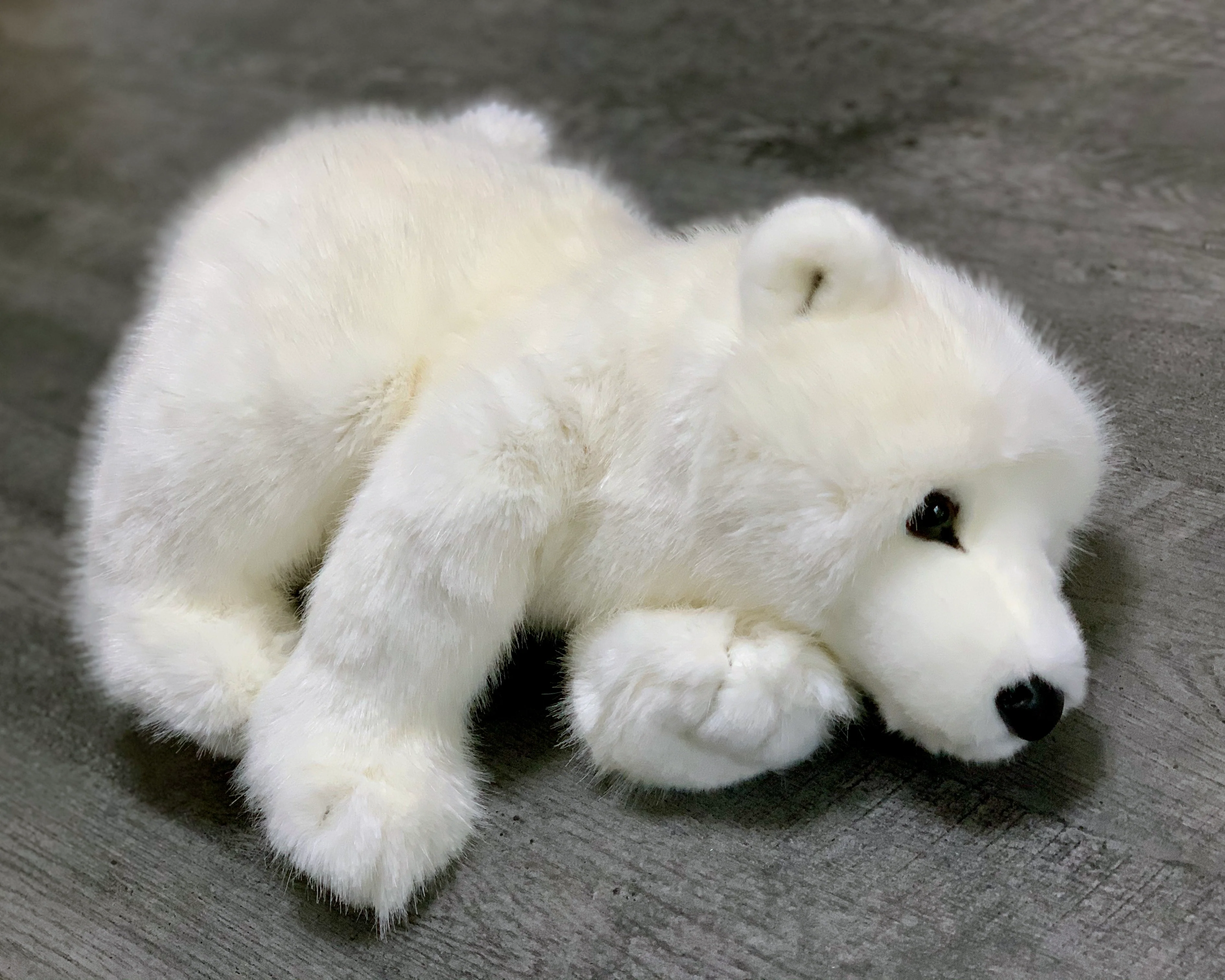 19-inch Weighted Polar Bear, up to 10lbs - Image 9